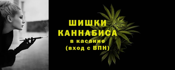 ешки Арсеньев