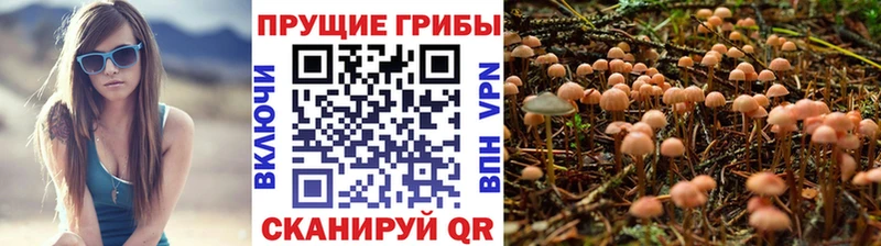 мега зеркало  Губкин  Псилоцибиновые грибы прущие грибы 